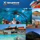 Reserva tu hotel en Tenerife y vive al máximo tus vacaciones